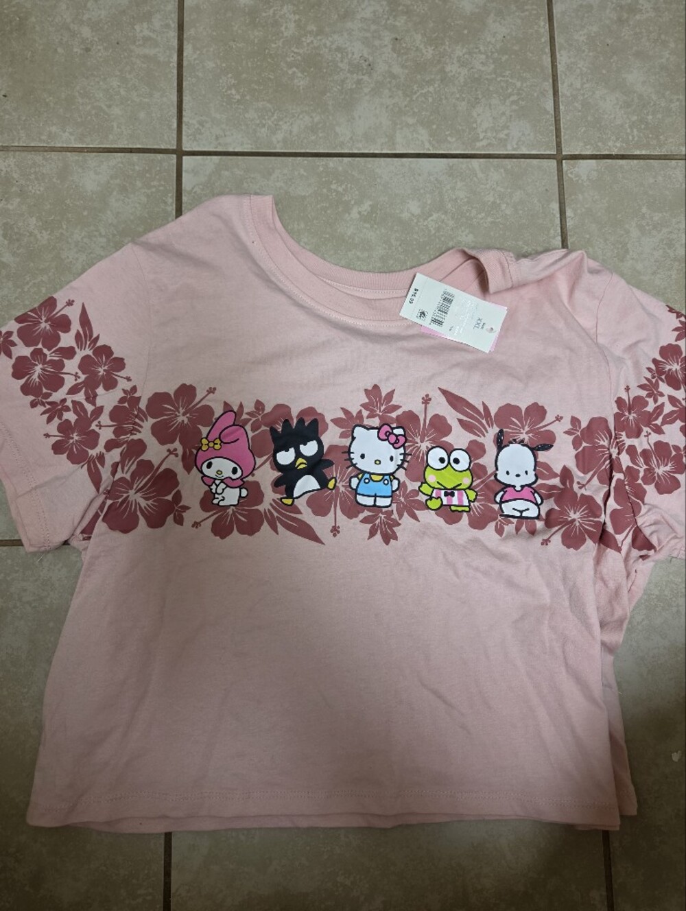Hello Kitty Pink Floral Graphic Tee with Friends